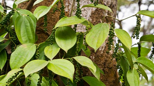 imago images 134616705