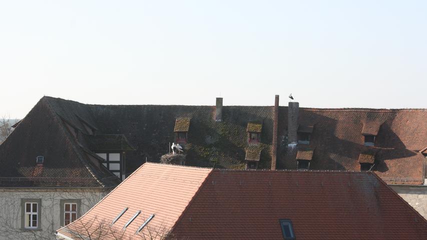 In der Vogelperspektive bietet sich der Blick auf einige der insgesamt 23 Storchenhorste in Höchstadt und Umgebung. Hier auf dem Landratsamt im Vordergrund und hinten auf dem Schloss.