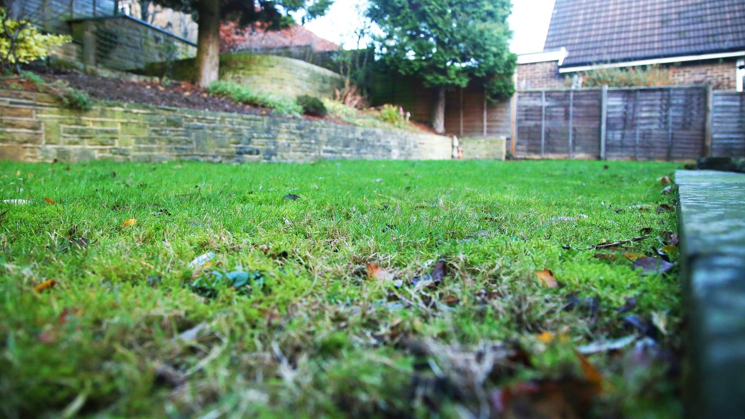 Hier finden Sie Tipps für die Moosbekämpfung im Garten. Hier finden Sie Tipps für die Moosbekämpfung im Garten.