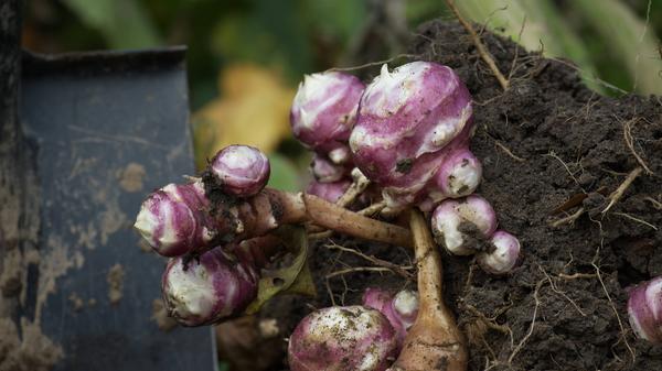 imago images 0203764381