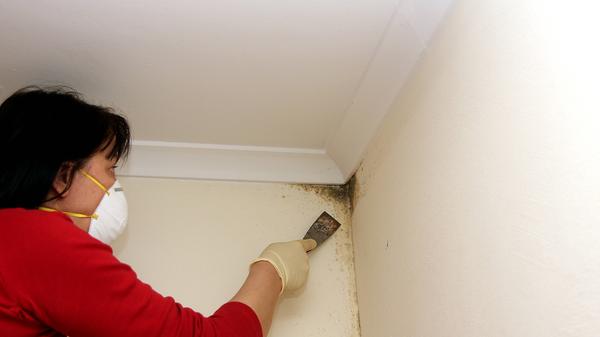 imago images 100750768