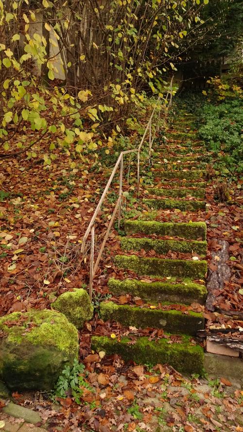 Diese Treppe wurde wohl lange nicht mehr benutzt und ist gerade deshalb mit ihren bemoosten Stufen besonders fotogen.