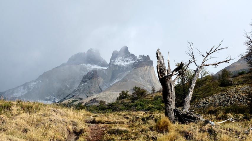 8 Tage durch die patagonische Wildnis: Das ist der O-Trek im Nationalpark Torres del Paine