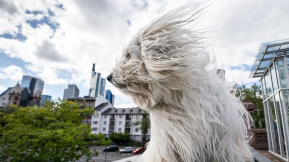 5 Fakten über Stürme, die Sie kennen müssen