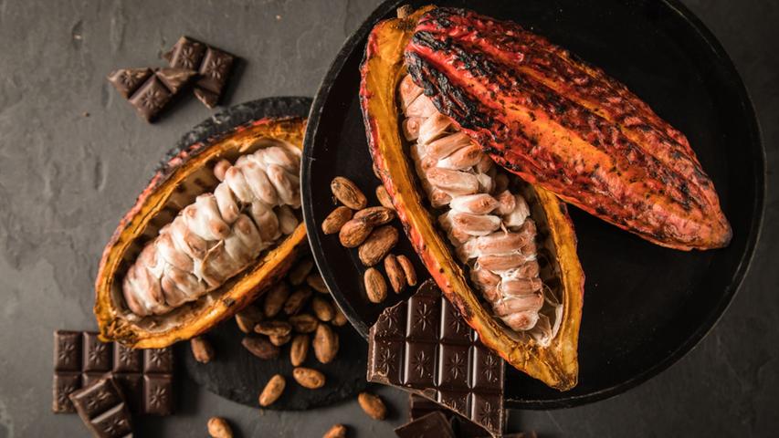 Kakao für Schokolade wird aus Kakaofrüchten gewonnen.