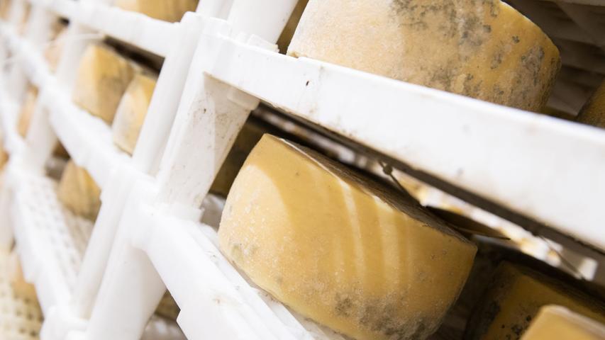 Käse ist ein Naturprodukt, deshalb ist es schwer, immer den gleichen Geschmack zu erzeugen.