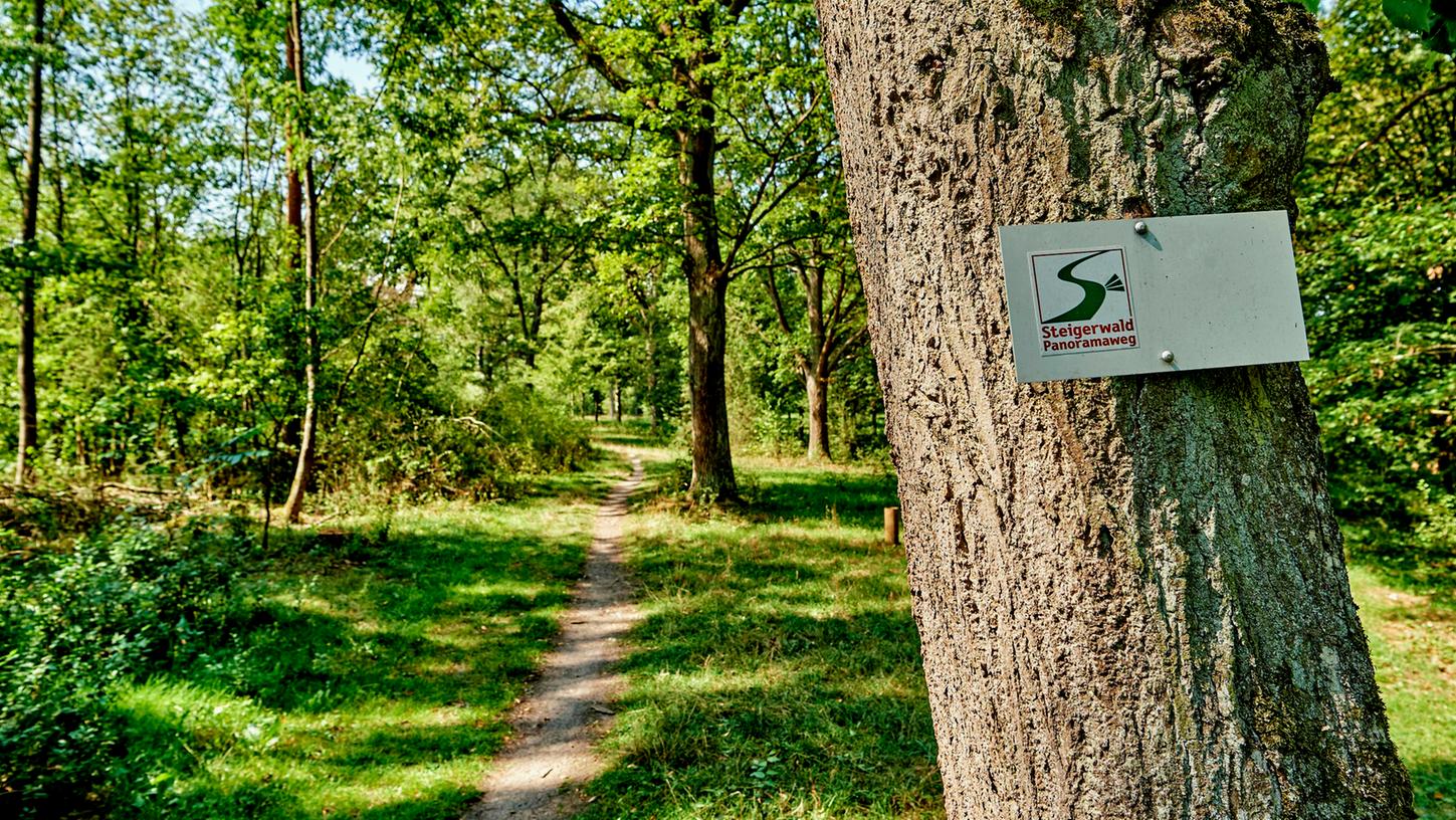 Der Steigerwald-Panoramaweg beginnt in Bad Windsheim und führt bis nach Bamberg.