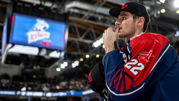 Nürnberg Ice Tigers - Fischtown Pinguins