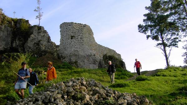 In Fischbrunn startet eine Rundwanderung vorbei an der Ruine Lichtenstein, wo sich früher die Raubritter versammelten. Außerdem bietet die Route eine herrliche Aussicht über die Hersbrucker Alb. Mehr Infos finden Sie in diesem Artikel.