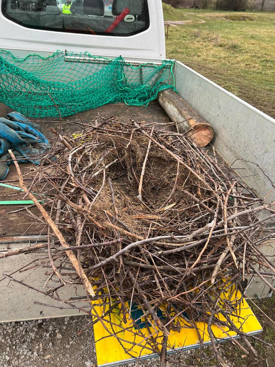 Das Nest wurde zum neuen Bestimmungsort transportiert. 