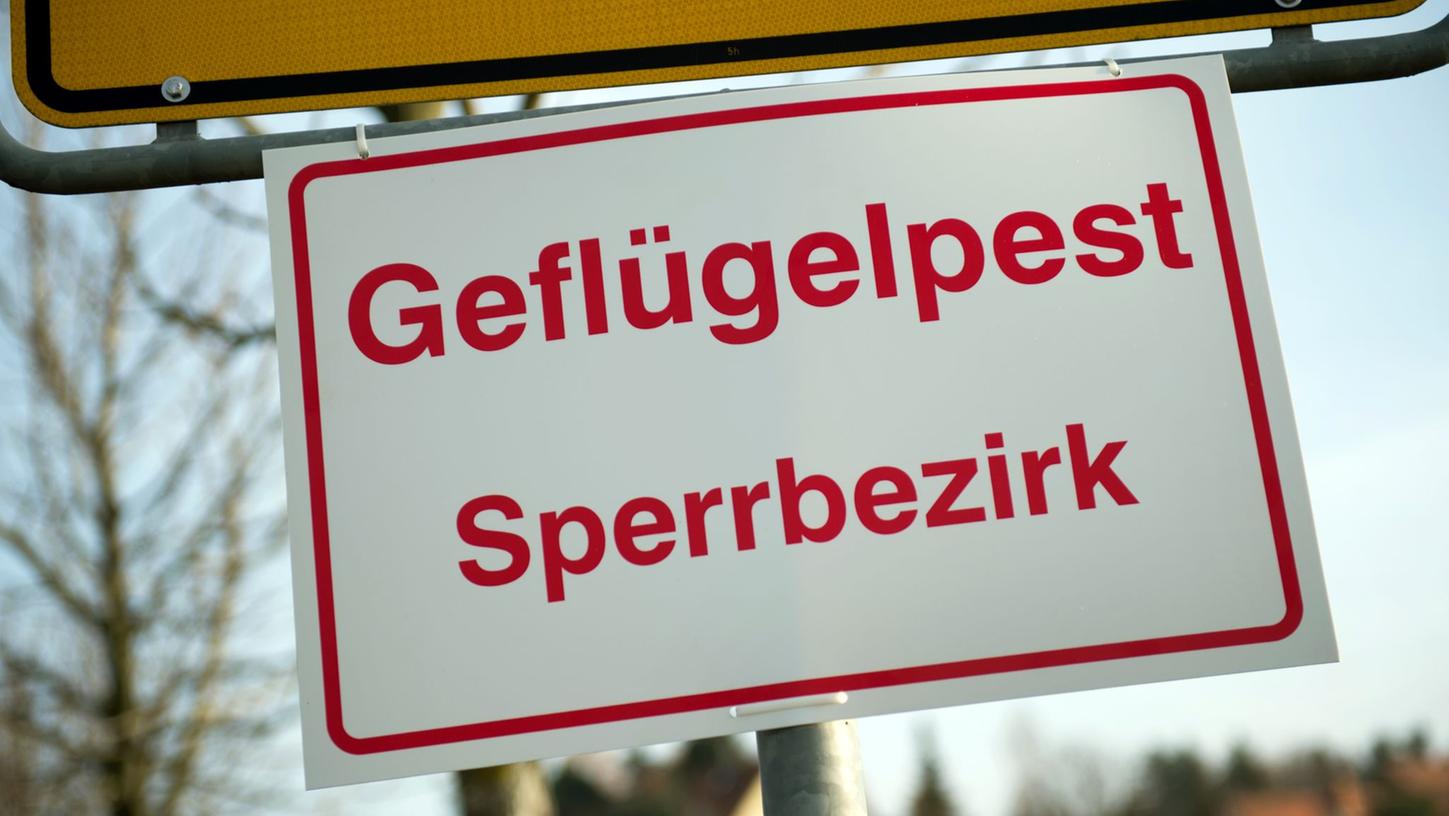 Geflügelpest wurde nun im Landkreis Ansbach nachgewiesen.