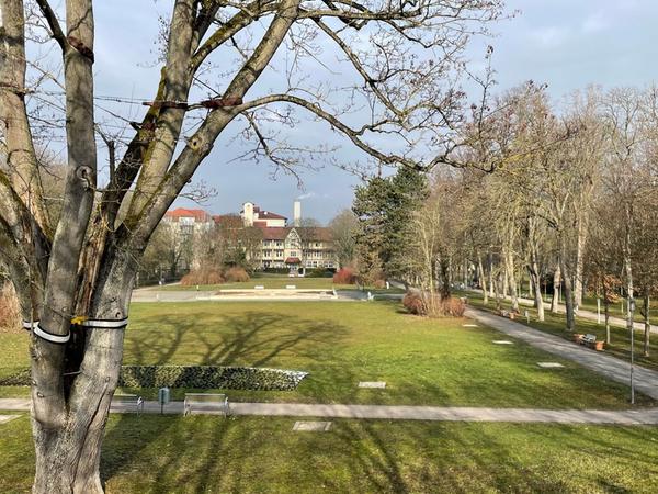 Im Windsheimer Kurpark waren die Reporter mit einem Fachmann unterwegs. Im Windsheimer Kurpark waren die Reporter mit einem Fachmann unterwegs.