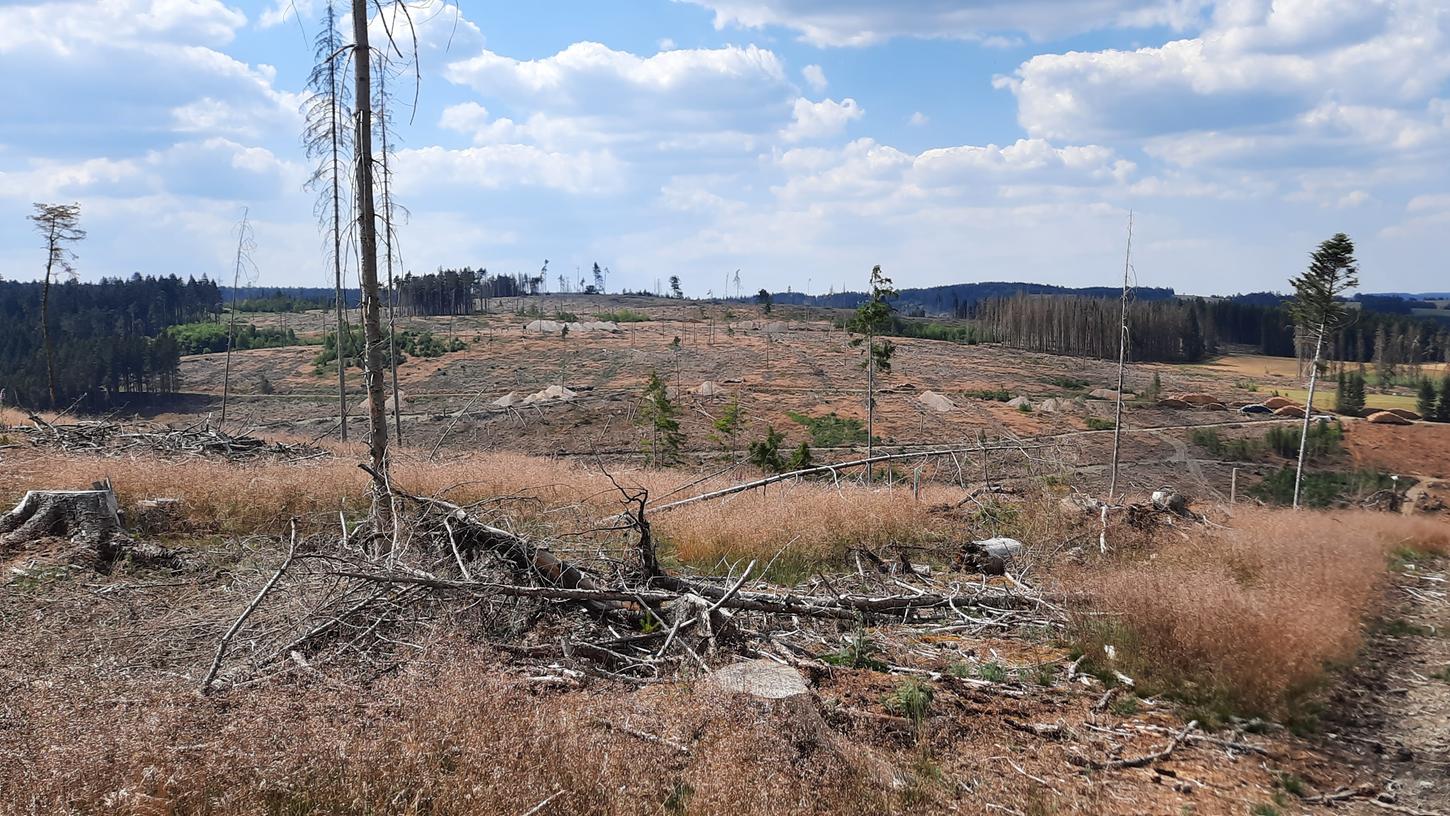 Wegen Trockenheit und Hitze sind tausende Hektar des Frankenwaldes abgestorben. Wegen Trockenheit und Hitze sind tausende Hektar des Frankenwaldes abgestorben.