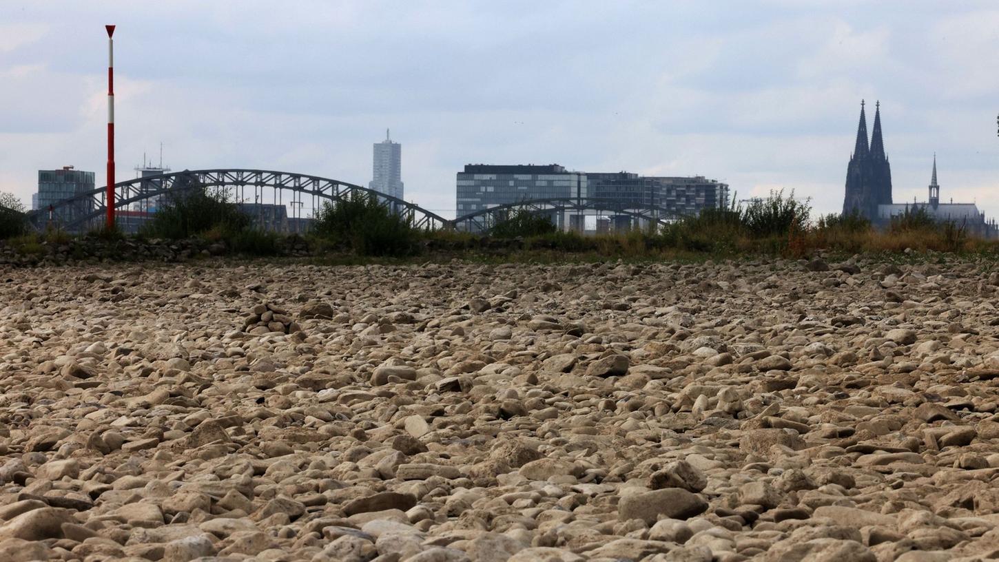 Der ausgetrocknete Uferbereich des Rheins bei Köln im vergangenen Sommer. Der ausgetrocknete Uferbereich des Rheins bei Köln im vergangenen Sommer.