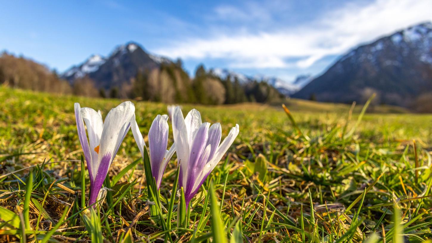 Viele Menschen wünschen sich endlich schönes frühlingshaftes Wetter. Ob das am Osterwochenende der Fall sein wird?