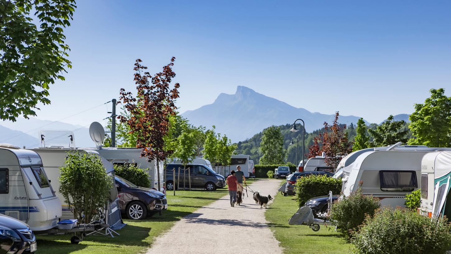 Der Campingplatz "Camp MondSeeLand" in der österreichischen Region Salzkammergut bietet Hunden das volle Genießerprogramm.