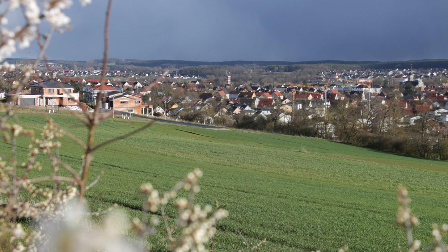 Der Häckersteig in Höchstadt: Ob hier ein Wohngebiet entsteht oder nicht, darum geht es beim Bürgerentscheid am 21. Mai. 