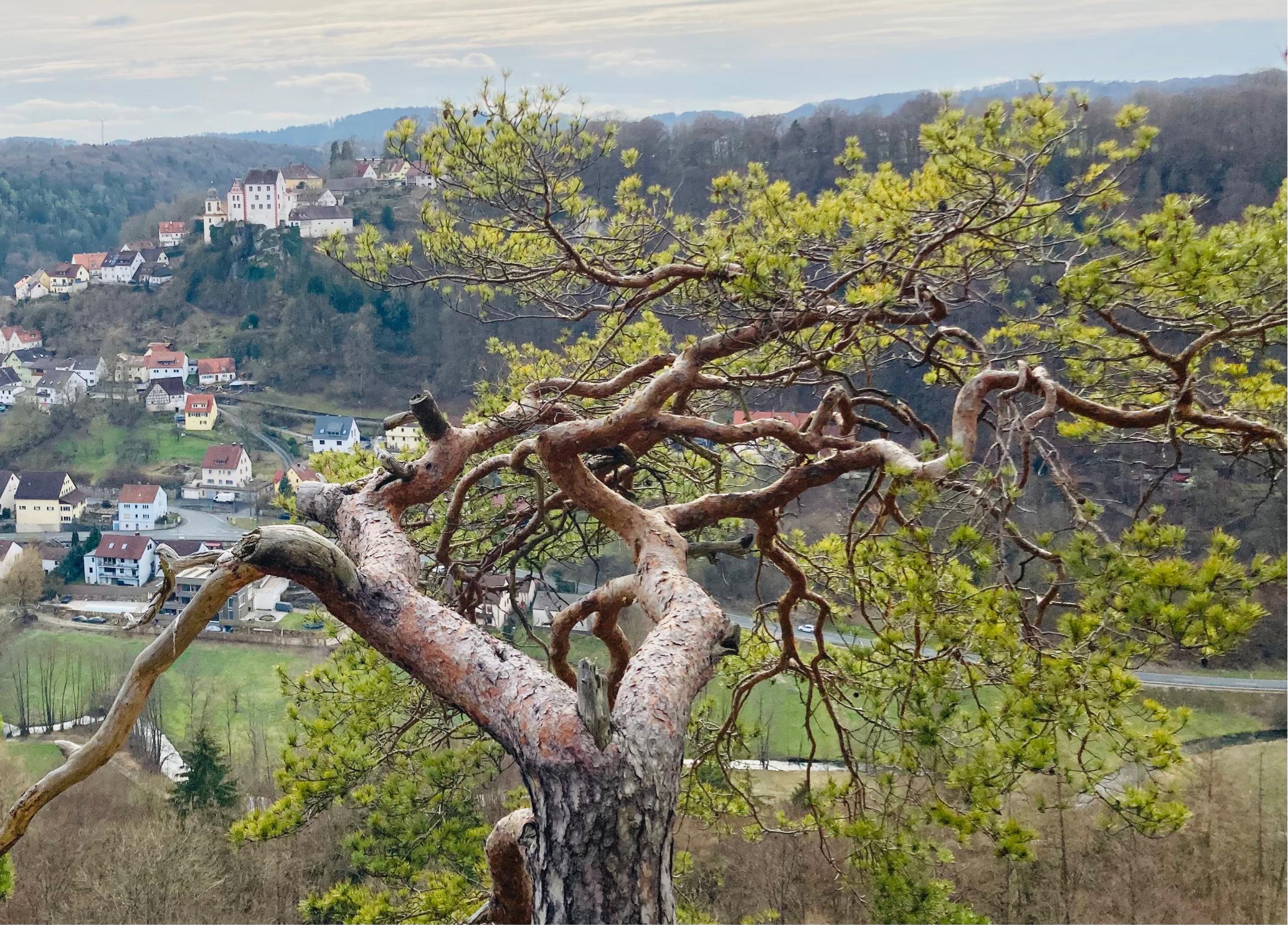 Beeindruckender Blick auf Egloffstein vom Pfarrfelsen.