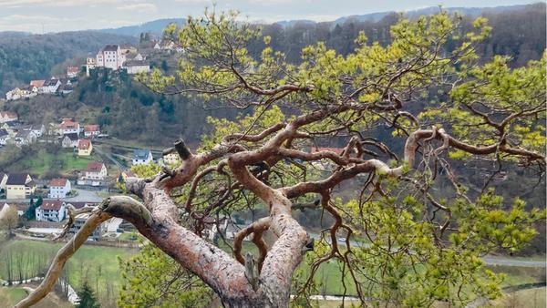 Beeindruckender Blick auf Egloffstein vom Pfarrfelsen.