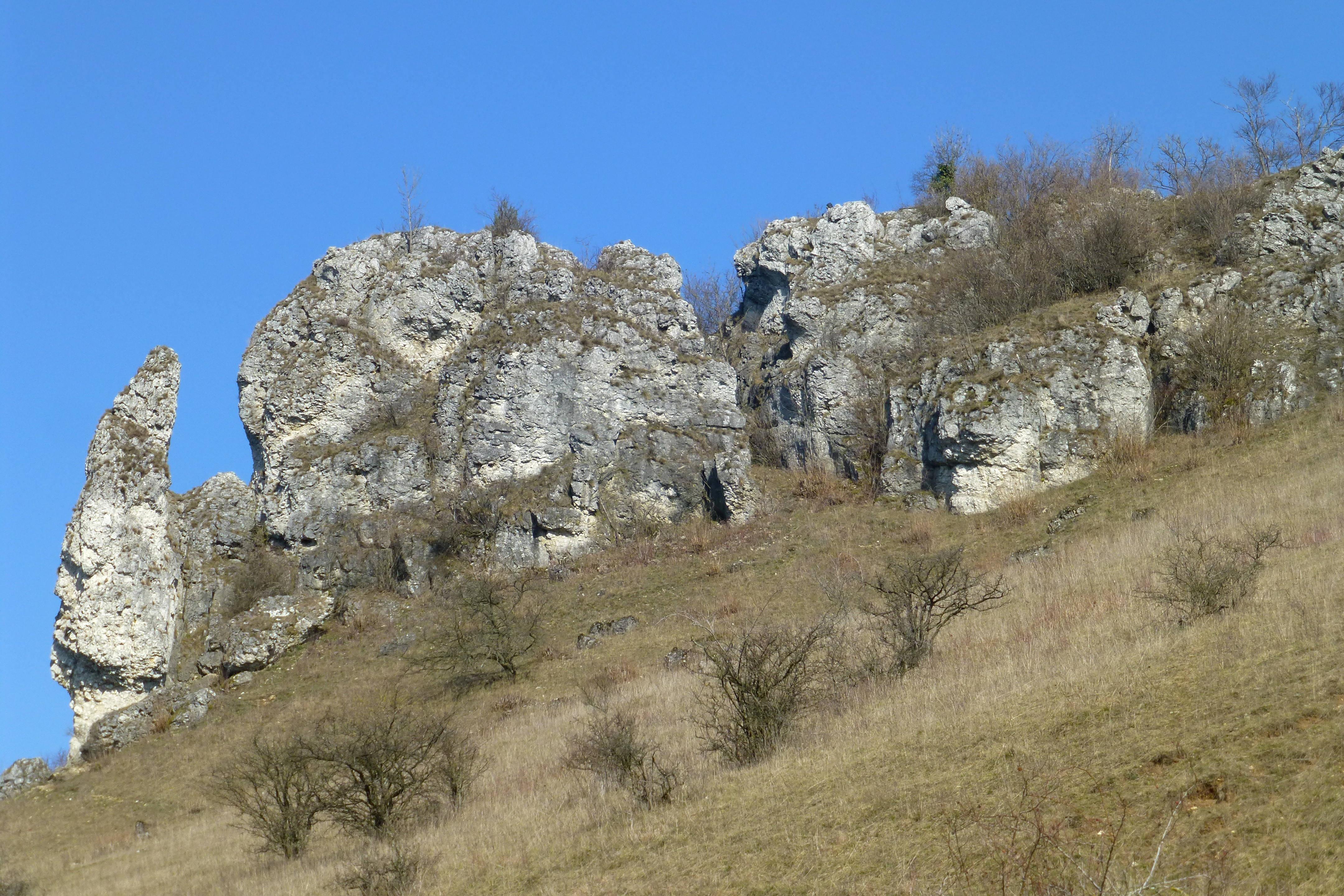 Felsen am Westhang des Walberlas. Manche haben sogar einen Namen - wie die "Steinerne Frau" (im Bild links ganz unten).