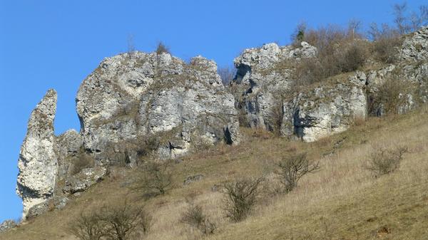 Felsen am Westhang des Walberlas. Manche haben sogar einen Namen - wie die "Steinerne Frau" (im Bild links ganz unten).