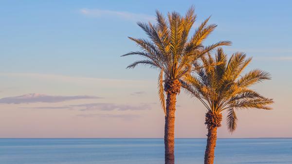 Vom Nürnberger Airport aus erreichen Reisende das sonnige Enfidha in Tunesien ab Sommer 2023 per Direktverbindung. Tunesien liegt direkt am Mittelmeer und lädt mit mehr als 330 Sonnentagen im Jahr und langen Sandstränden zum Badeurlaub ein. Auch kulturell hat das Land einiges zu bieten: „Organisierte Ausflüge im Umland lohnen sich allemal“, wirbt der Nürnberger Flughafen in seinem Sommerflugplan. Nach Tunesien reisen Nürnberger Urlauber nonstop mit der Fluggesellschaft SmartLynx.