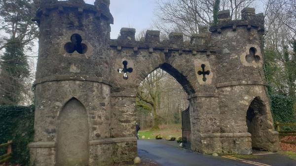 Etwa eine Autostunde südlich von Belfast liegt der Tullymore Forest Park, vielleicht einer der schönsten Flecken der gesamten irischen Insel. Kleine Bäche, pittoreske Brücken, knorrige Bäume - Naturfreunden gehen hier die Herzen auf.