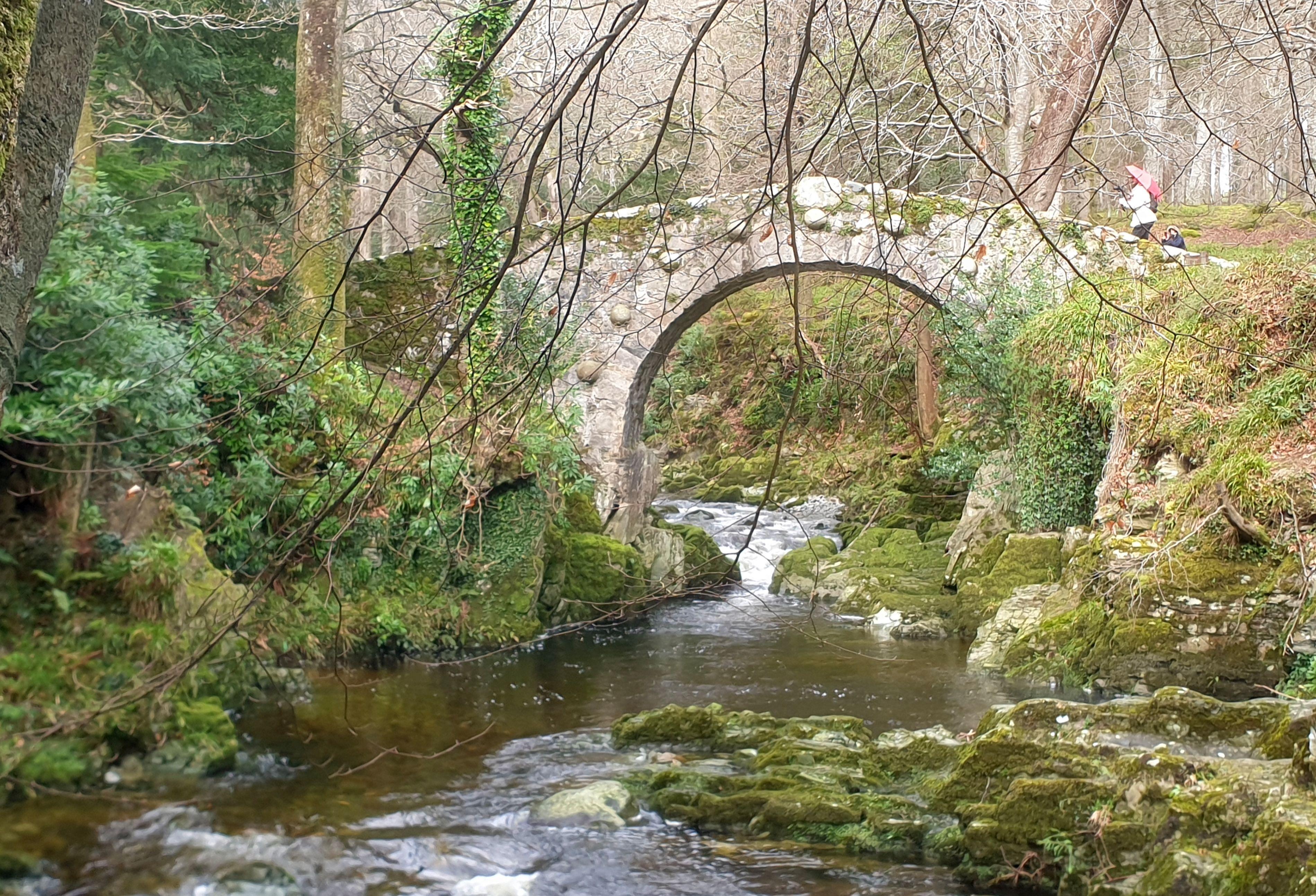 Foley's Bridge ist eine der berühmtesten Attraktionen in diesem ursprünglich belassenen Waldgebiet. Die spannende Reisereportage zu dieser Bildergalerie lesen Sie hier auf unserem Premiumportal nn.de