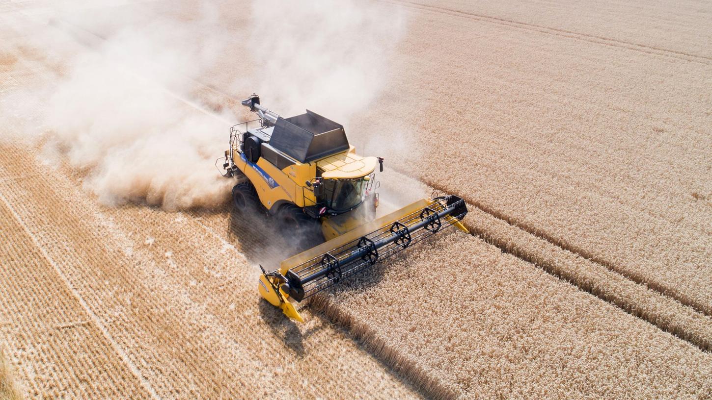 Was Sie auf diesem Bild nicht hören können: Bei der Ernte schreit Weizen um sein Leben. Was Sie auf diesem Bild nicht hören können: Bei der Ernte schreit Weizen um sein Leben.