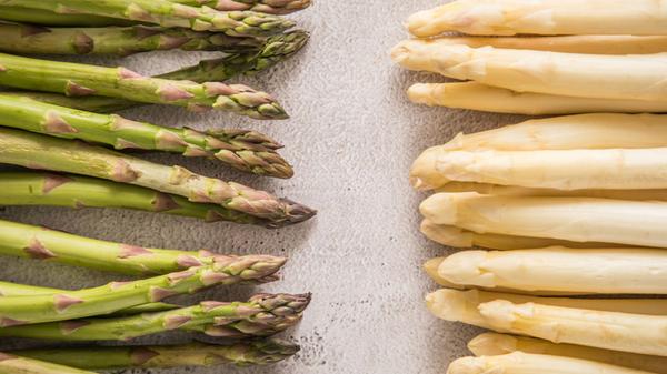 Die beiden beliebtesten Spargelsorten.