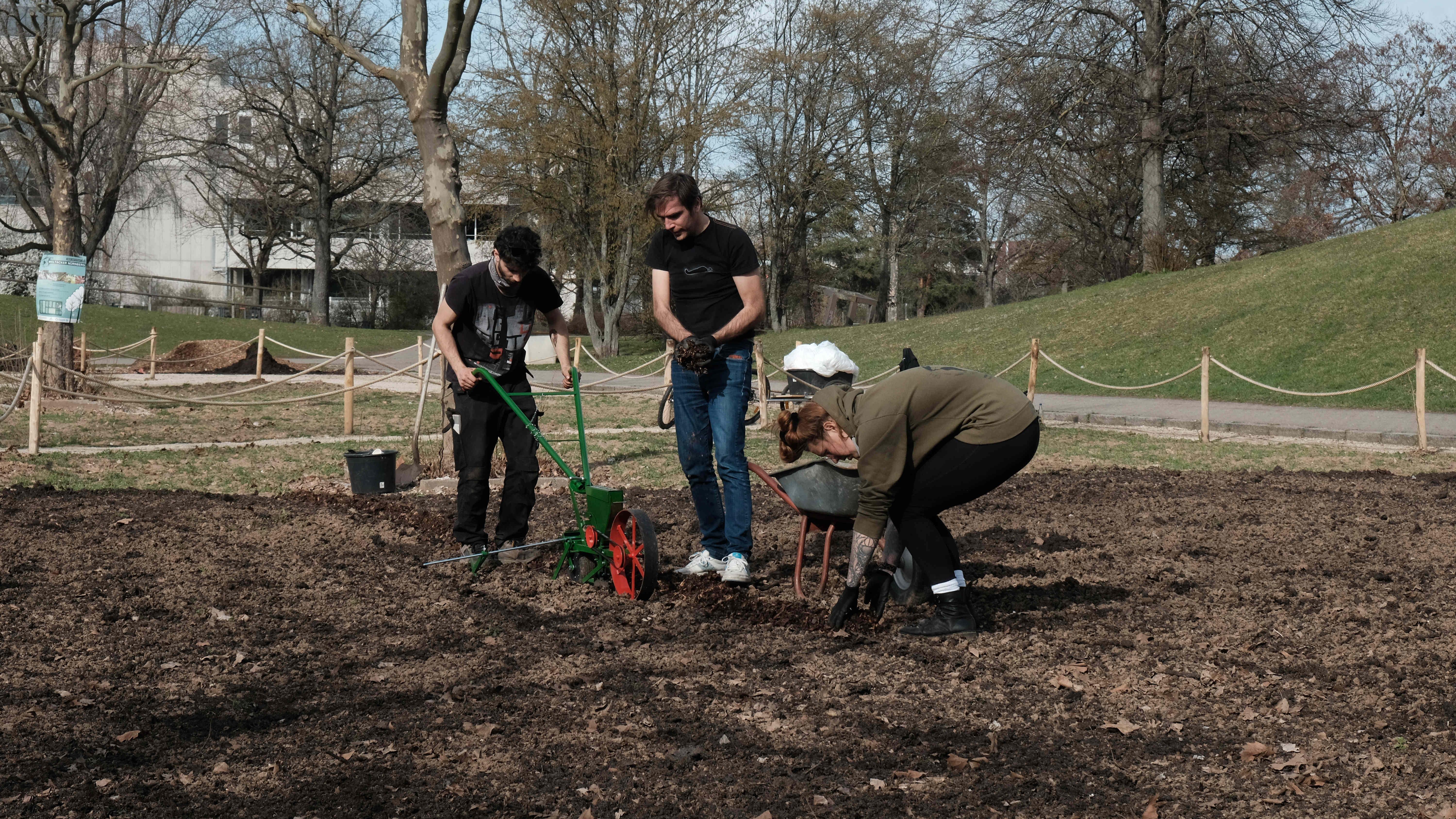 Vorsicht, frisch gesät! Bald sprießt das erste Getreide auf dem