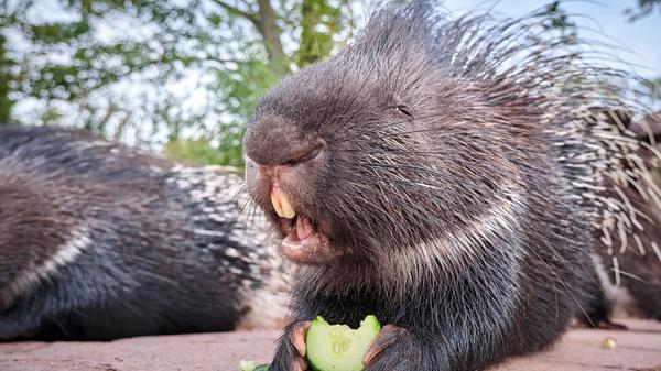 imago images 0203064566