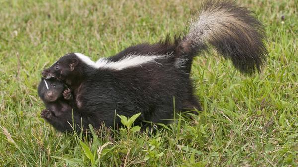 imago images 0238667956