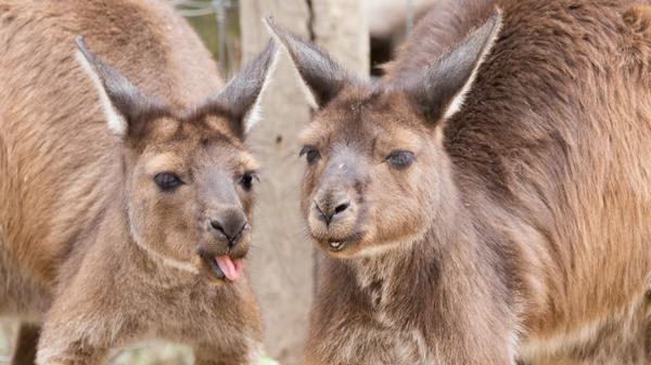 imago images 0126713606