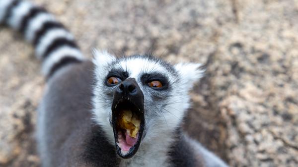 imago images 134762250