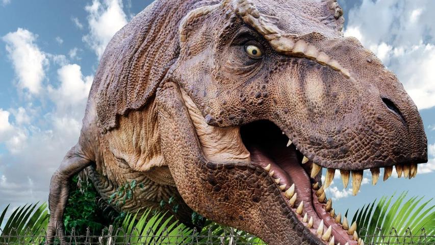 Eine spannende Ausstellung zum Thema Dinos wartet von Samstag bis Montag (ab 10 Uhr) in der Nürnberger KIA Metropol Arena auf das Publikum. An den zwei Tagen sehen sie 35 lebensechte Reproduktionen der Tiere und vieles mehr. 