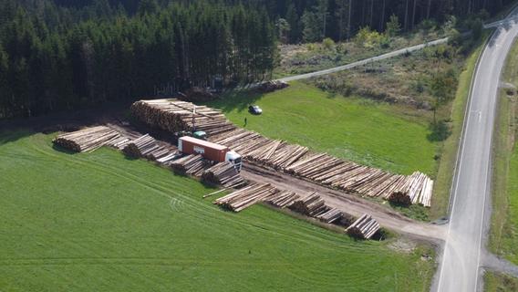 Droht Waldbesitzern die schrittweise Enteignung? FBG Schwabach-Heideck übt heftige Kritik