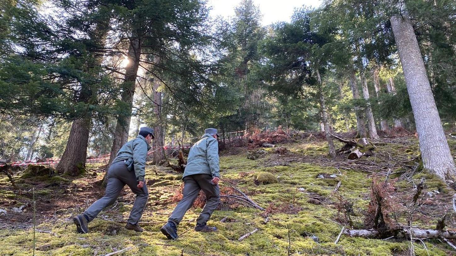 Polizeibeamte im Wald im norditalienischen Caldes, wo ein Jogger von einem Bären angegriffen und getötet worden ist. Polizeibeamte im Wald im norditalienischen Caldes, wo ein Jogger von einem Bären angegriffen und getötet worden ist.