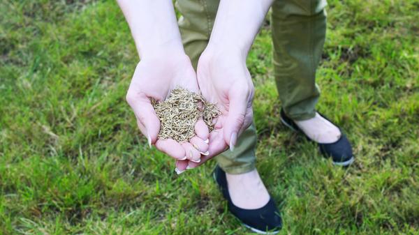 imago images 110485492