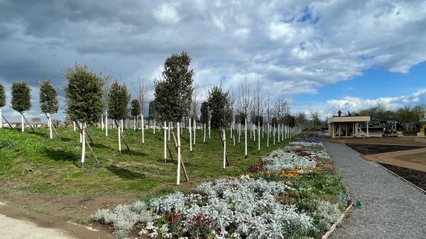 Auf der Buga werden auch zahleiche klimaresistente Baumarten präsentiert. Am Ende der Bundesgartenschau finden die Bäume ihren neuen Platz in der Innenstadt von Mannheim.