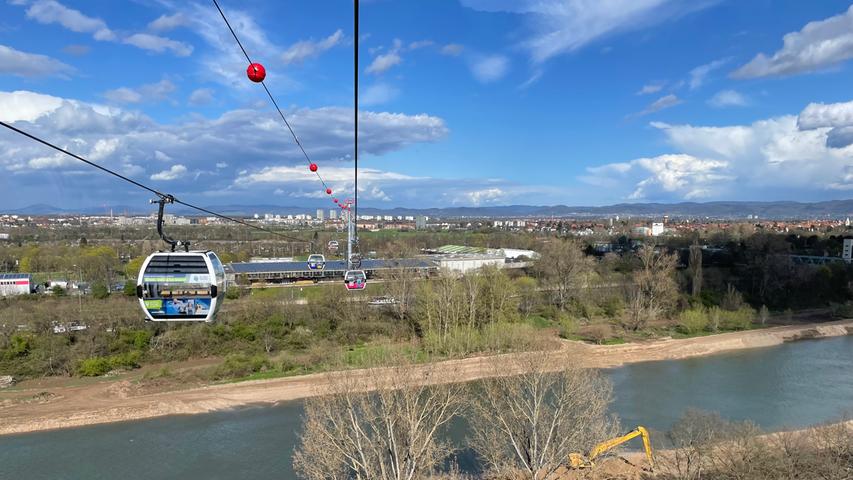 Die eigens für die Buga errichtete Seilbahn transportiert die Besucher in acht Minuten vom Spinelli-Gelände in den Luisenpark und umgekehrt.