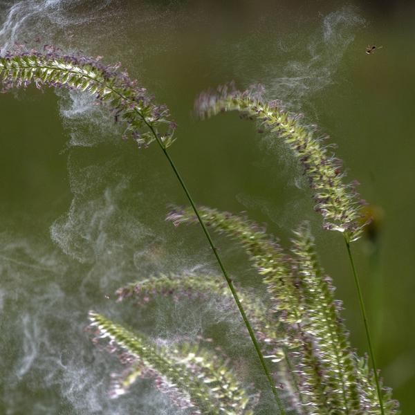 weitere interessante Themen: