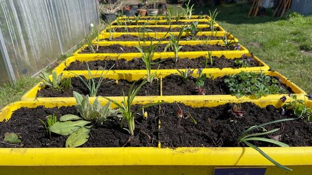 Für eine lebenswerte Innenstadt verschenkt der Erlanger Stadtteilbeirat Innenstadt insgesamt 25 fertig bepflanzte Blumenkübel. Für eine lebenswerte Innenstadt verschenkt der Erlanger Stadtteilbeirat Innenstadt insgesamt 25 fertig bepflanzte Blumenkübel.