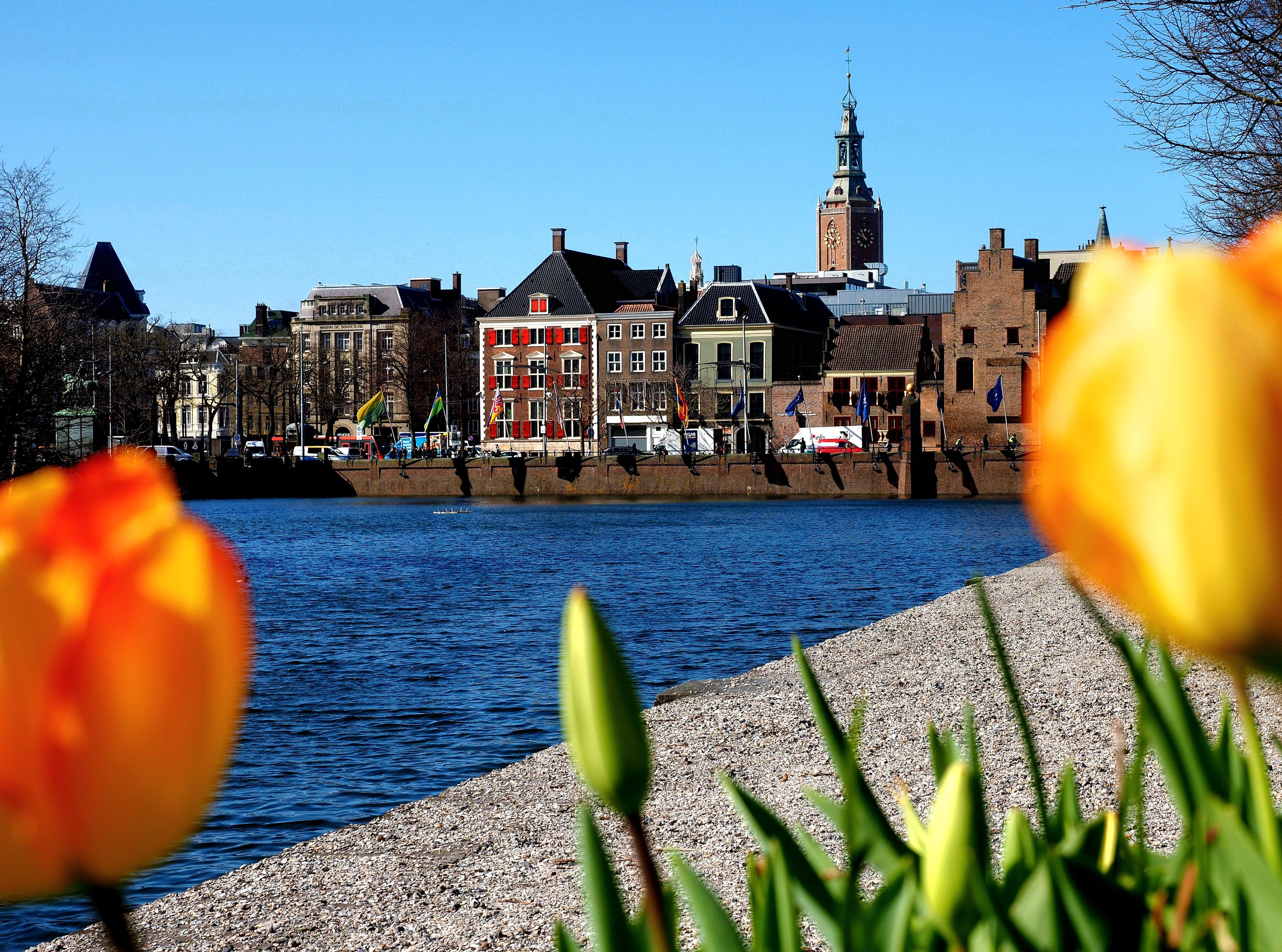 So schön ist eine Familien-Flusskreuzfahrt auf dem Rhein nach Holland und Belgien