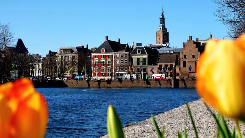Das feine, elitäre Den Haag mit seinem Regierungssitz in einem Wasserschloss. Tulpen natürlich auch hier.
