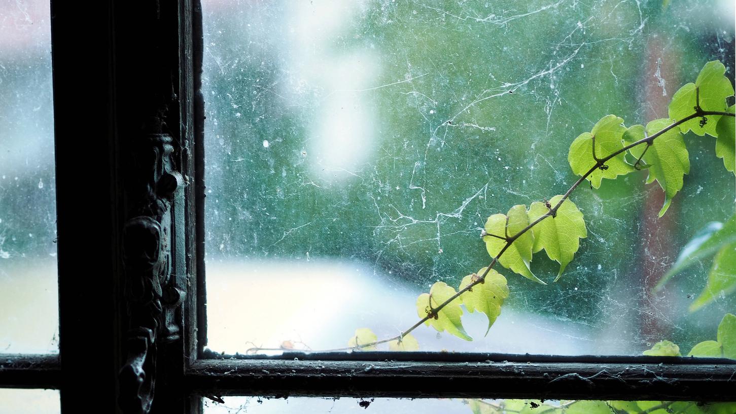 Spinnweben am Fenster eines alten Dachgeschosses: Wenn Räume wenig benutzt werden, findet man beim Eintreten meist einige verstaubte Spinnweben vor.