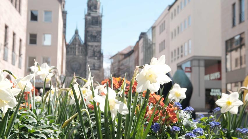 Es sprießt: In der Fußgängerzone grüßen aus großen Blumentrögen wieder die ersten bunten Frühlingsboten. Im Hintergrund ist die Lorenzkirche zu sehen.