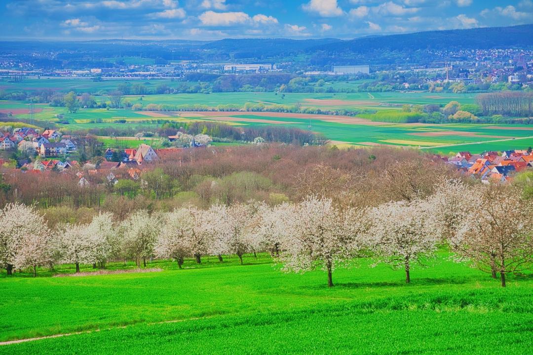 Fränkische Schweiz Die Zeit der Kirschblüte in Pretzfeld und Umgebung