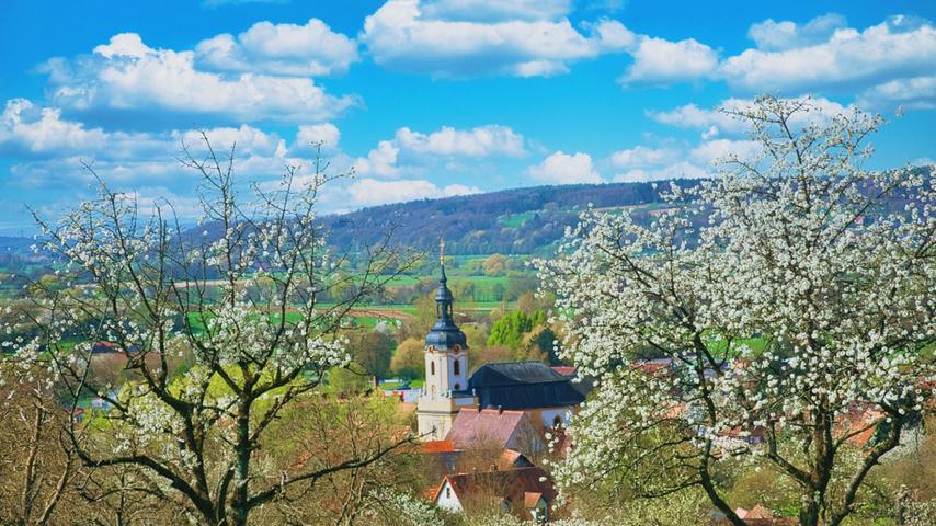 Fränkische Schweiz: Die Zeit der Kirschblüte in Pretzfeld und Umgebung hat begonnen