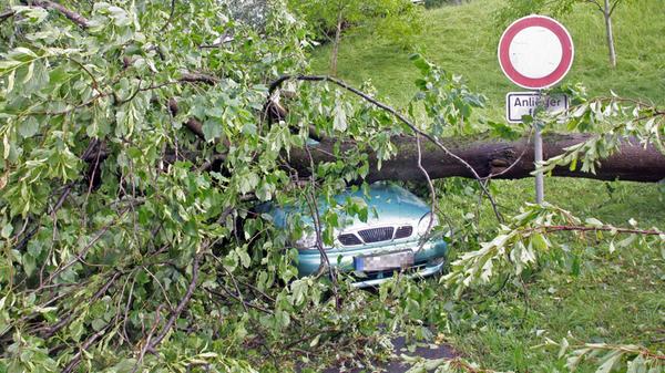 Sturmschäden am Auto zahlt in der Regel die Teilkaskoversicherung. Abgedeckt sind laut BdV zum Beispiel Kratzer und Beulen durch herabfallende Äste oder Ziegel, aber auch Wasserschäden durch eine Überschwemmung nach Starkregen. Auch hierbei sollten Besitzer das weitere Vorgehen mit der Versicherung absprechen, ehe sie die Schäden reparieren lassen. Fotos zur Dokumentation sollten sowohl das Auto als auch die Umgebung zeigen. Zusätzlich sind einige Detailaufnahmen sinnvoll. Bei der Polizei muss man Sturmschäden laut BdV nicht melden.